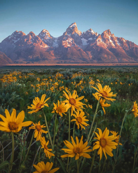 Nature Destinations Around The World