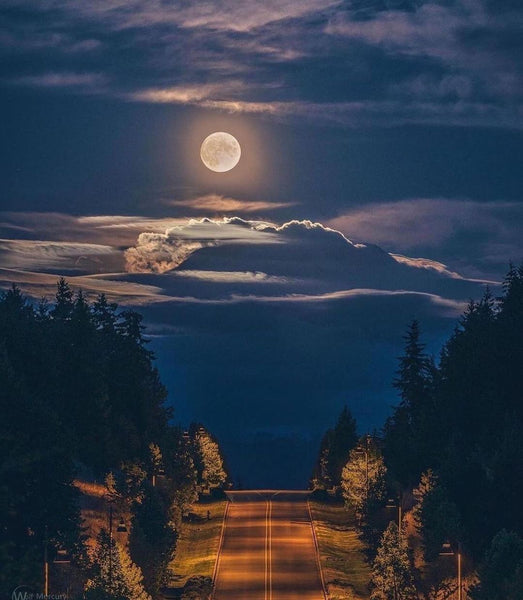 The Beauty Around This Amazing Earth