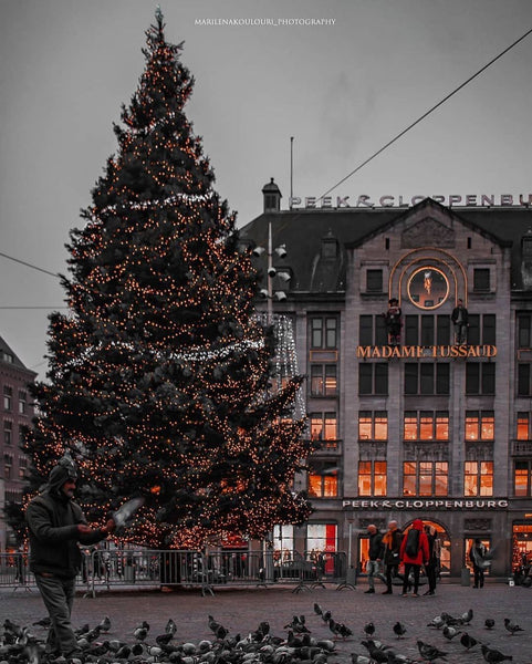 Bucket List Travel Destinations