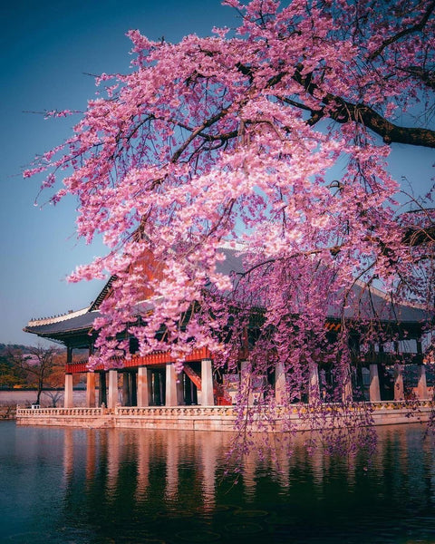 Wonderful Travel Destinations To Wander #23