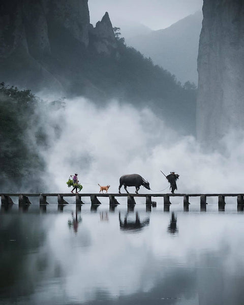 Wonderful Travel Destinations To Wander This Year 2025 #9