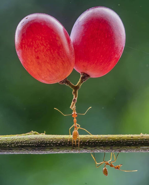 Wonderful About Nature Around Us