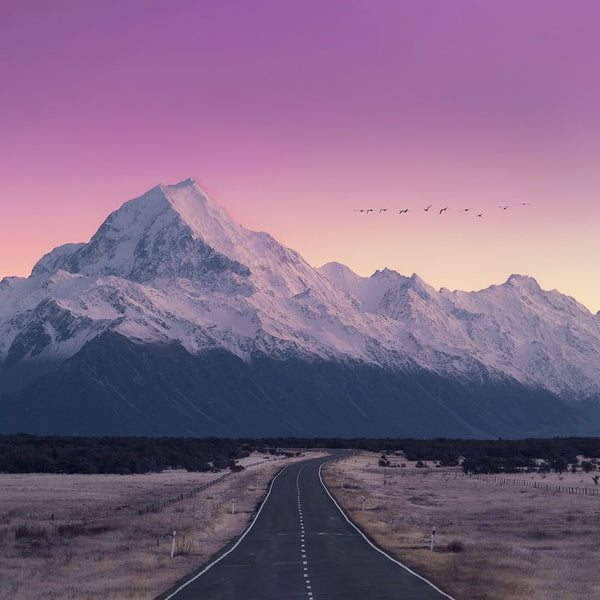 Wonderful Travel Around New Zealand