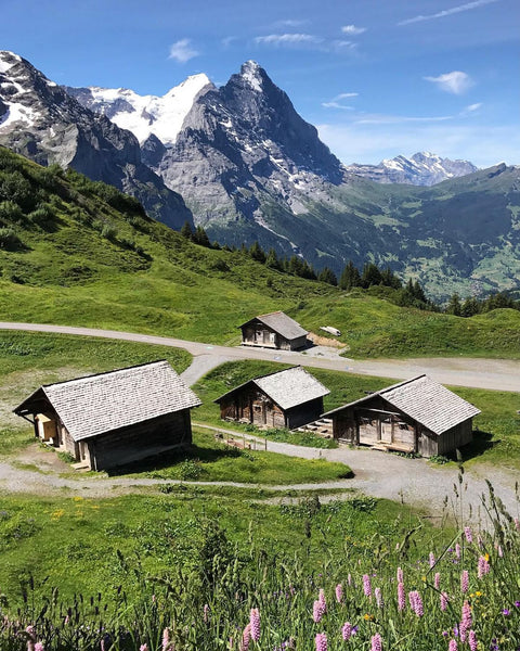 Amazing Switzerland The Wonderful Destinations
