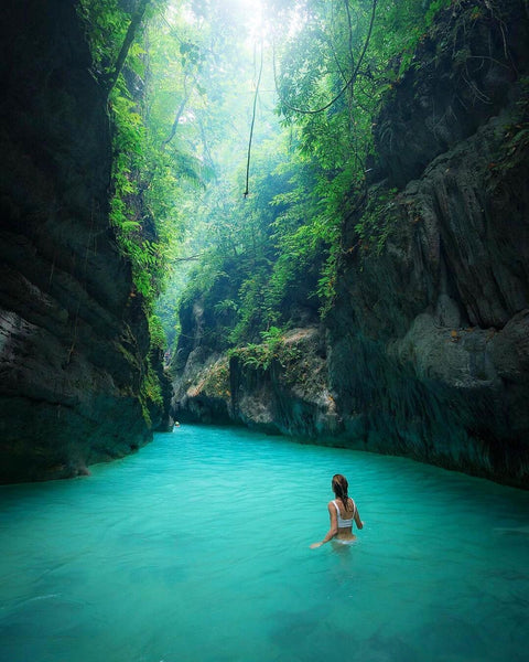 The Amazing Tropical Paradise Over The World