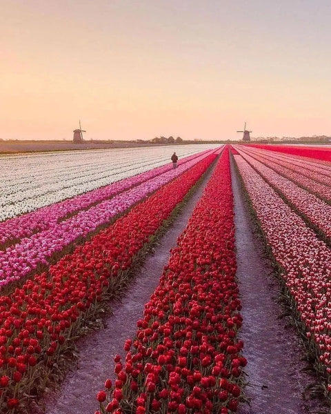 Wonderful Travel Destinations To Wander This Year 2025 #14