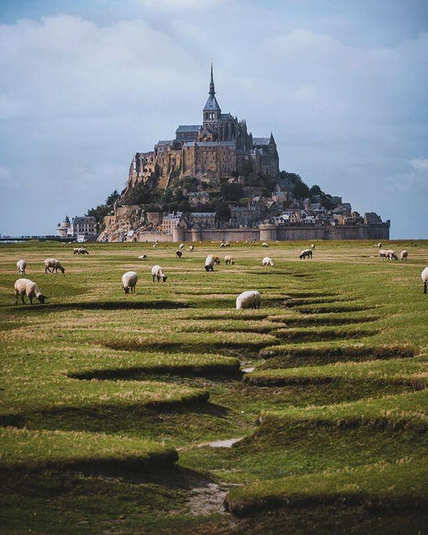 Virtual Travel Videos and Pictures This July