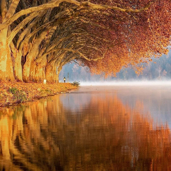 Virtual Travel Around The World - October