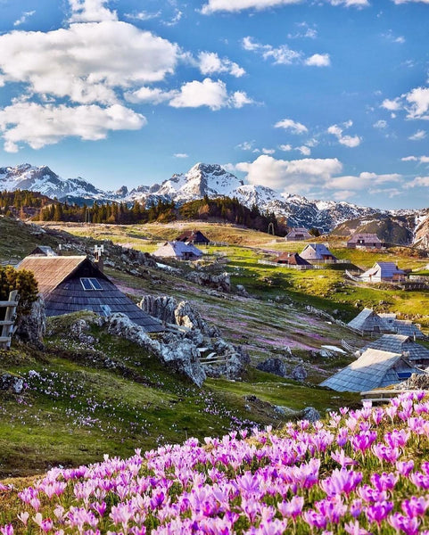 Wonderful Travel Destinations